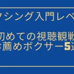 お薦めボクサー